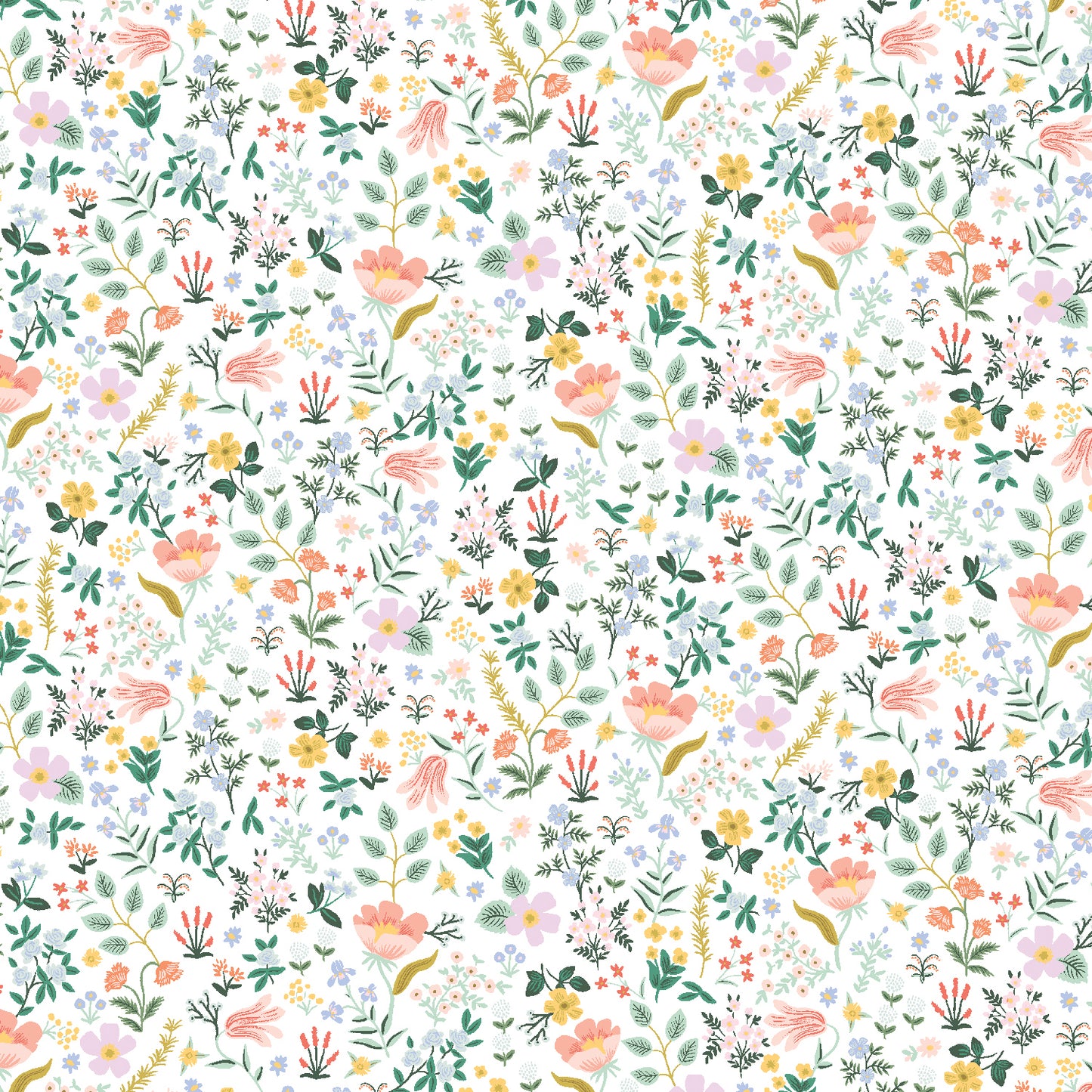 Rifle Paper Co. - Curio - Bramble Fields in White