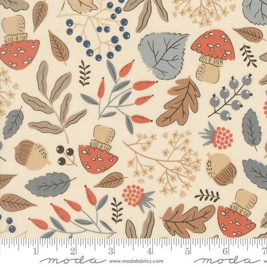 Natures Sketchbook - Forest Finds Fall