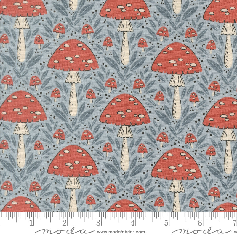 Natures Sketchbook - Mushroom Fall