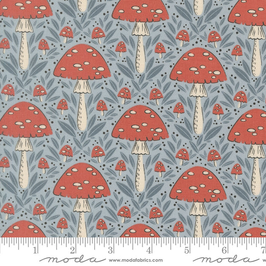 Natures Sketchbook - Mushroom Fall