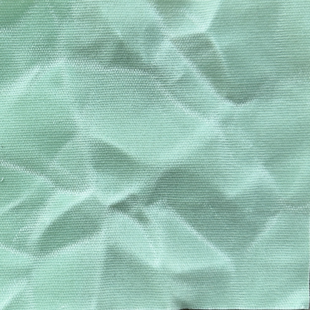 12 oz Waxed Canvas - Mint
