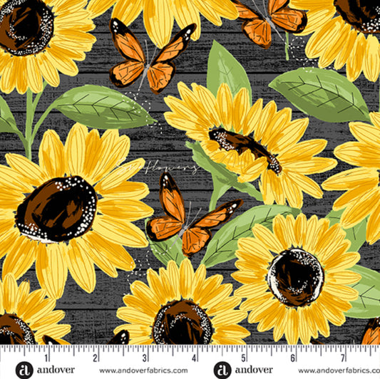 Sunflower Meadow - Large Sunflowers in Black